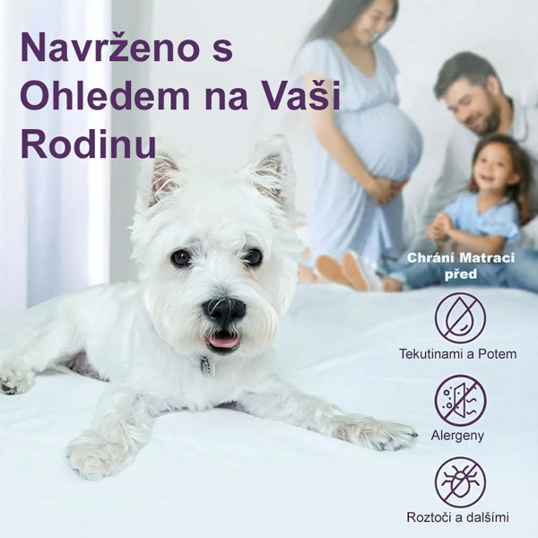 CLOUDREAM-3831127613059-CZ-5__301225